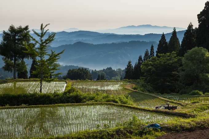 湯山の棚田